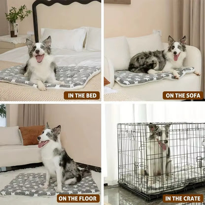Dog Sleeping Mat Pet Bed Cat Bed Soft Hair Thickened Blanket Pad Fleece Home Washable Warm Bear Pattern Blanket Pet Supplies